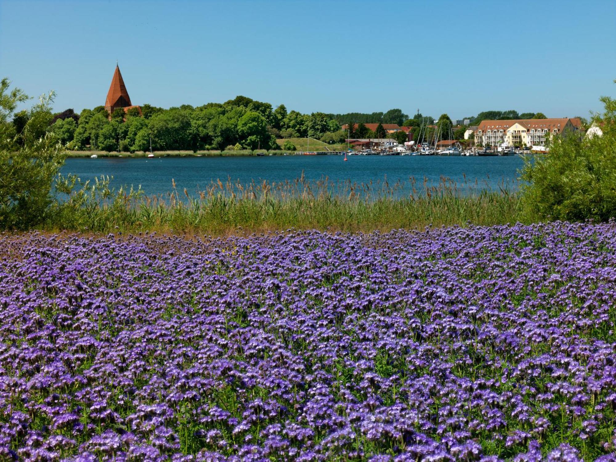Dänisches Ferienhaus Kaltenhof Exterior foto